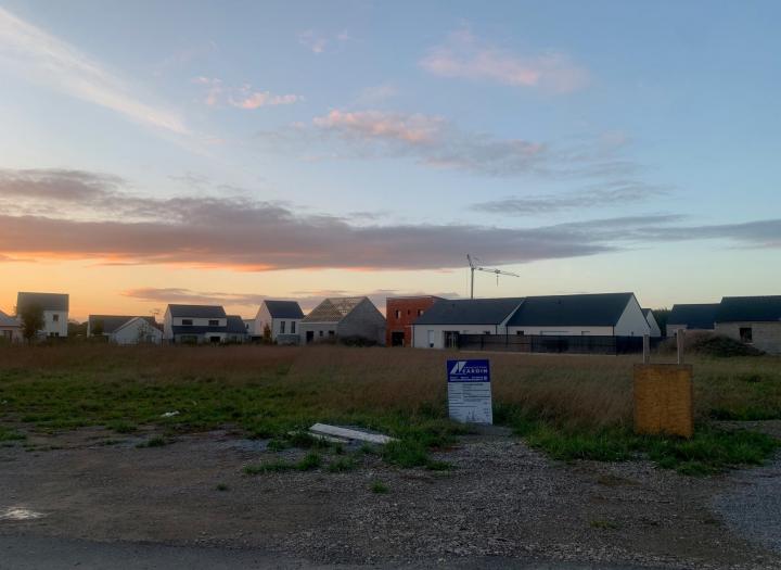 ALVINA_ novembre 2023_terrain