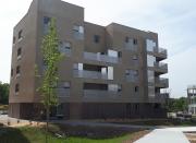 28 avril 2022_BAT C - Vue coeur d'ilôt