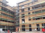 juillet 2024_vue coeur d'ilôt